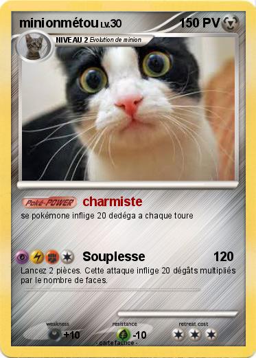 Pokemon minionmétou
