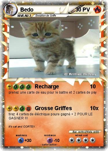 Pokemon Bedo