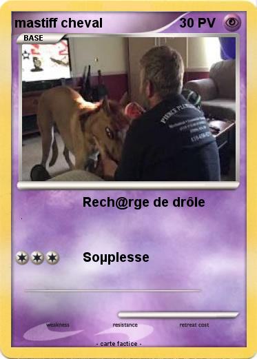 Pokemon mastiff cheval