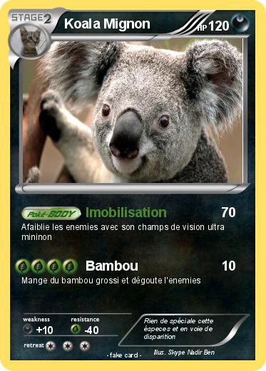 Pokemon Koala Mignon