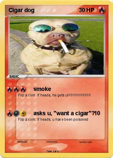 Pokemon Cigar dog