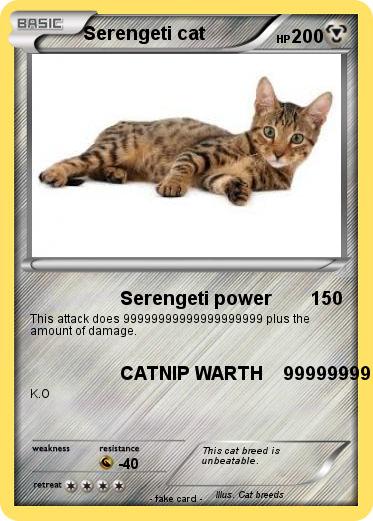 Pokemon Serengeti cat