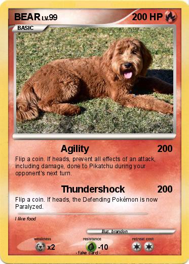 Pokemon BEAR