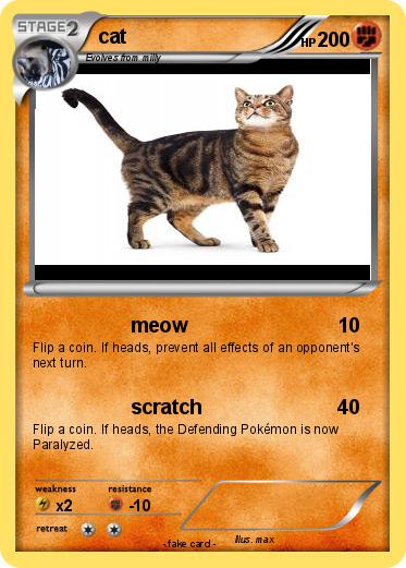 Pokemon cat