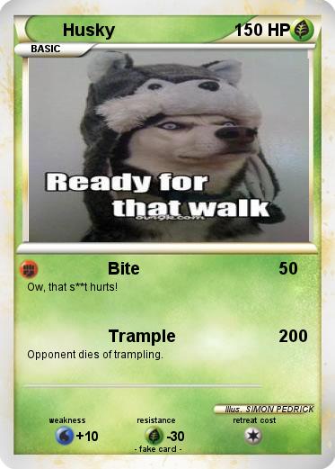Pokemon Husky