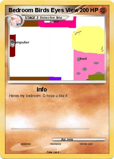 Pokemon Bedroom Birds Eyes View