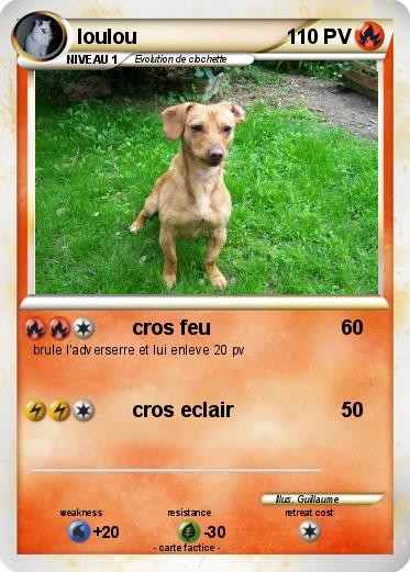 Pokemon loulou