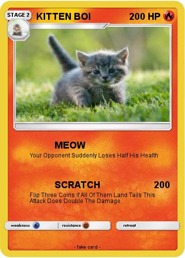 Pokemon KITTEN BOI