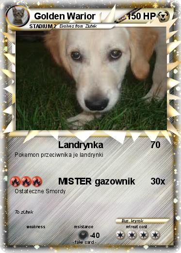 Pokemon Golden Warior