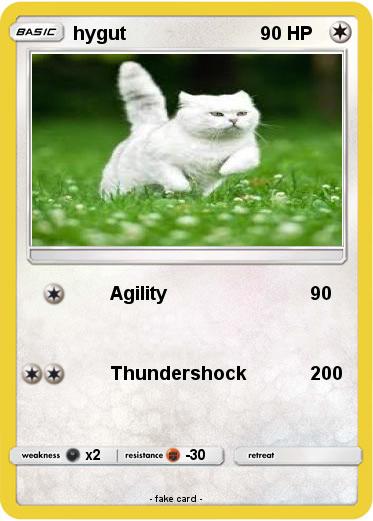 Pokemon hygut
