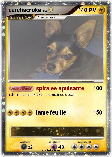 Pokemon carchacroke
