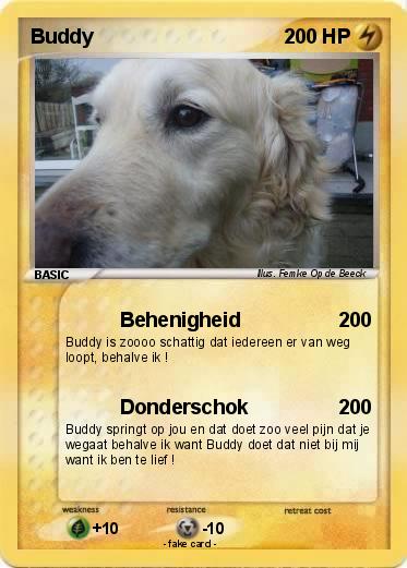 Pokemon Buddy