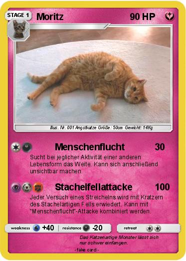 Pokemon Moritz