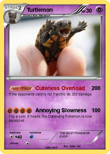 Pokemon Turtlemon