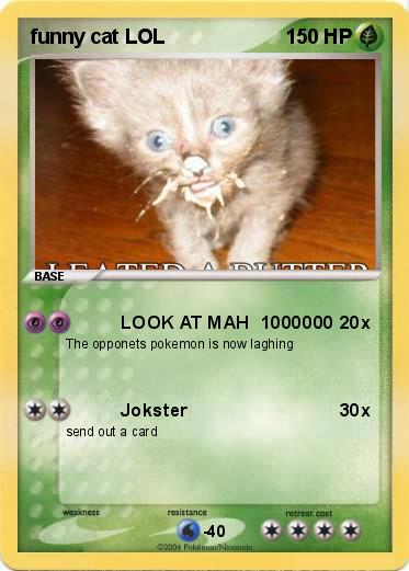 Pokemon funny cat LOL