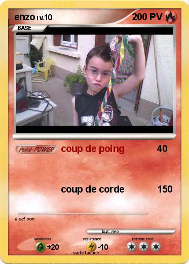 Pokemon enzo