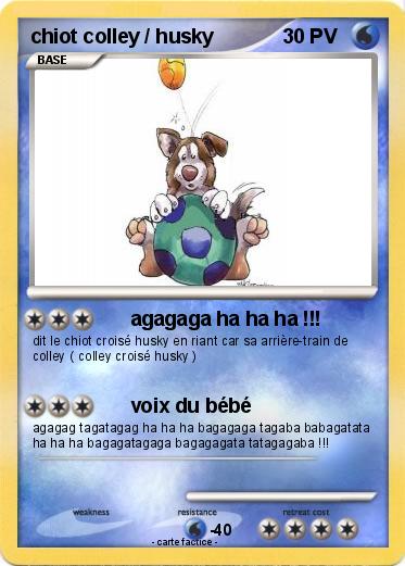 Pokemon chiot colley / husky