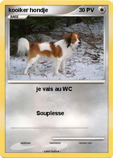 Pokemon kooiker hondje