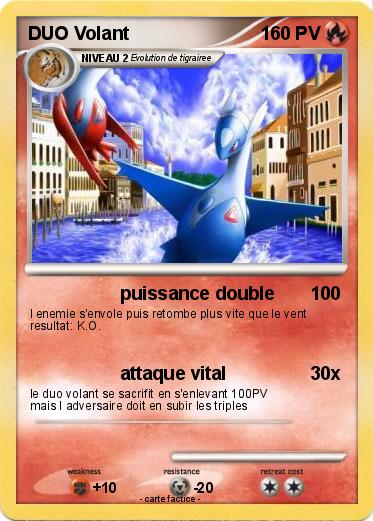 Pokemon DUO Volant
