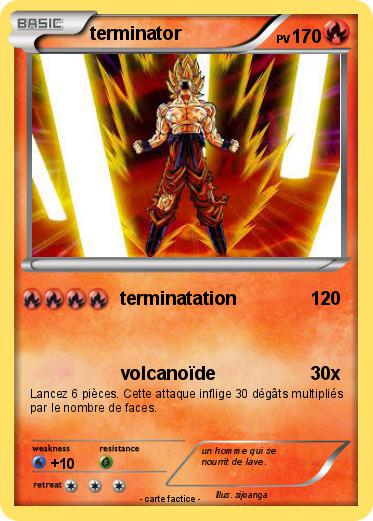 Pokemon terminator
