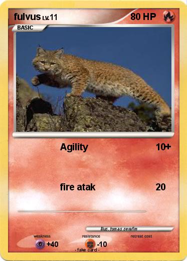 Pokemon fulvus