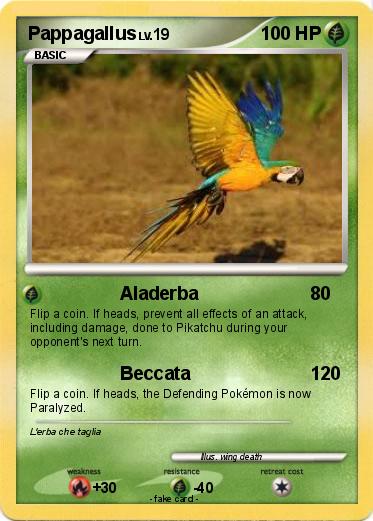 Pokemon Pappagallus