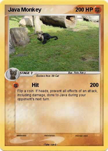 Pokemon Java Monkey