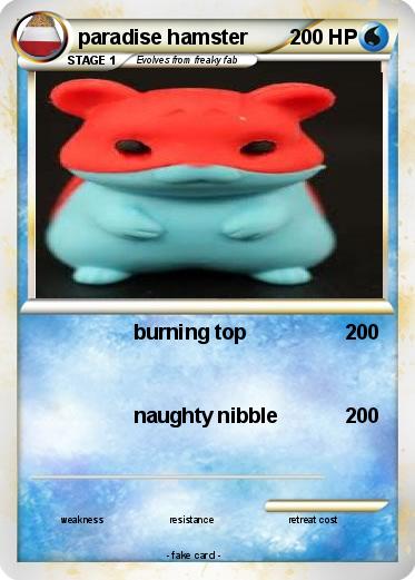 Pokemon paradise hamster