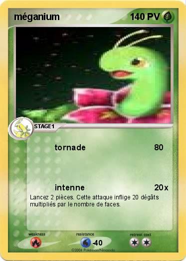 Pokemon méganium