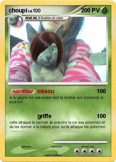 Pokemon choupi