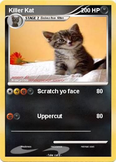 Pokemon Killer Kat