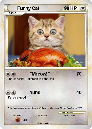Pokemon Funny Cat