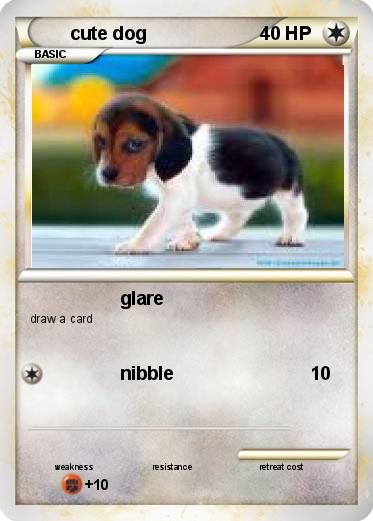 Pokemon cute dog