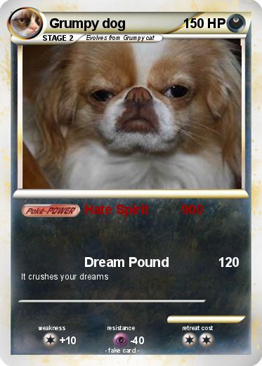Pokemon Grumpy dog