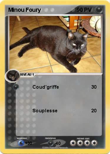 Pokemon Minou Foury