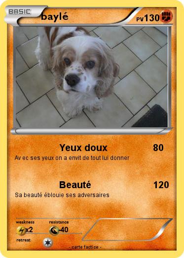 Pokemon baylé