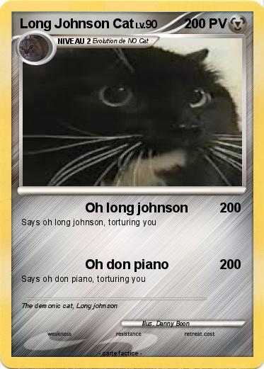 Pokemon Long Johnson Cat