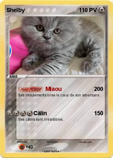 Pokemon Shelby