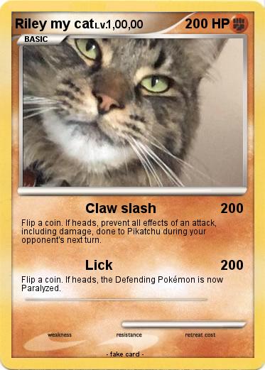 Pokemon Riley my cat