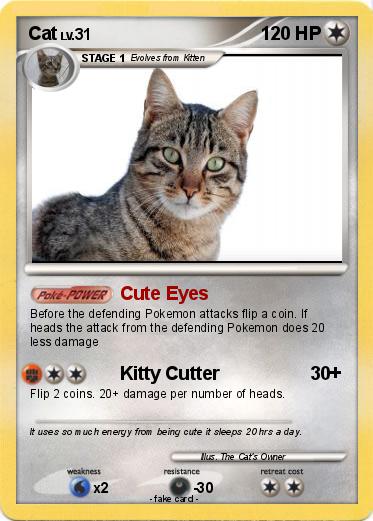 Pokemon Cat