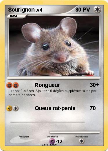 Pokemon Sourignon