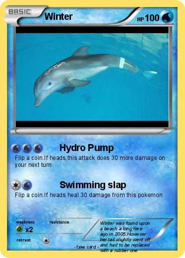 Pokemon Winter