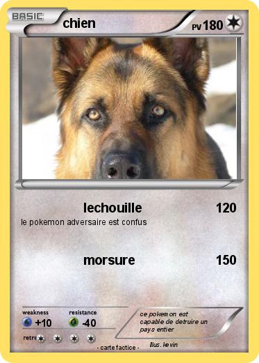 Pokemon chien