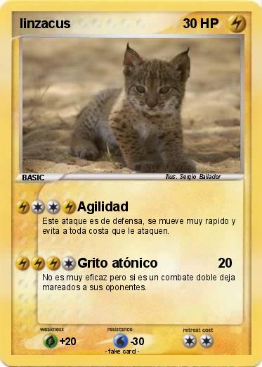 Pokemon linzacus