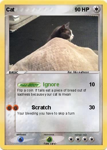 Pokemon Cat