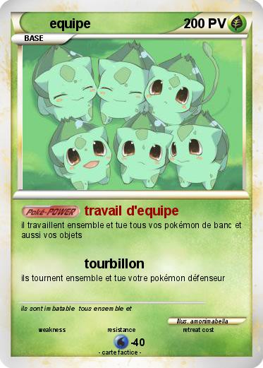 Pokemon equipe