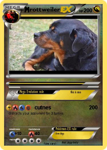 Pokemon rottweiler