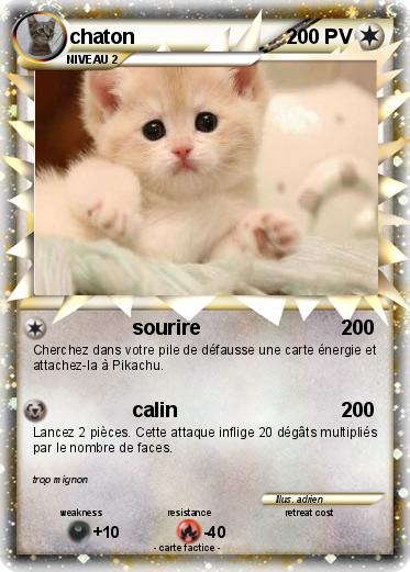 Pokemon chaton