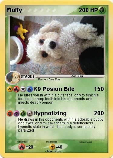 Pokemon Fluffy
