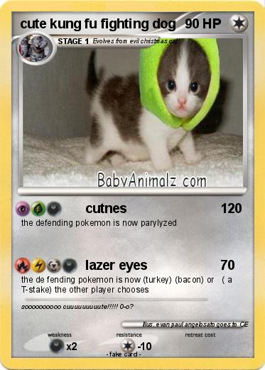 Pokemon cute kung fu fighting dog